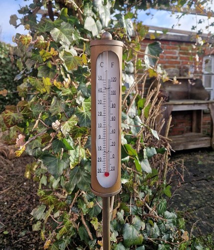 Thermometer zum stecken - thermometer,