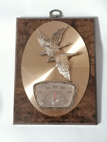 Altes thermometer - altes,