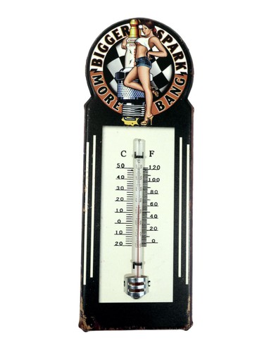 Blech thermometer bigger - blech,